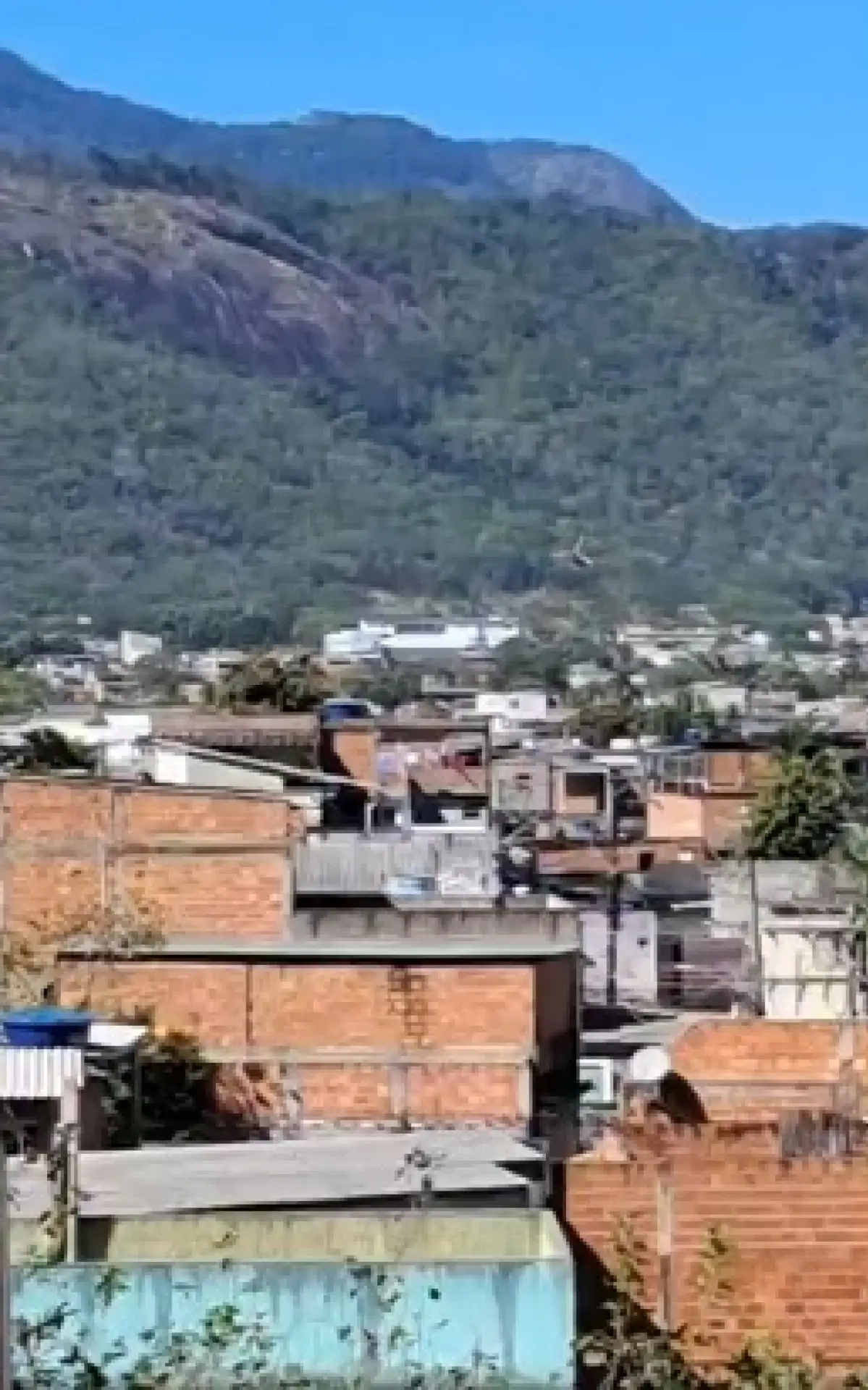 Senador Camará