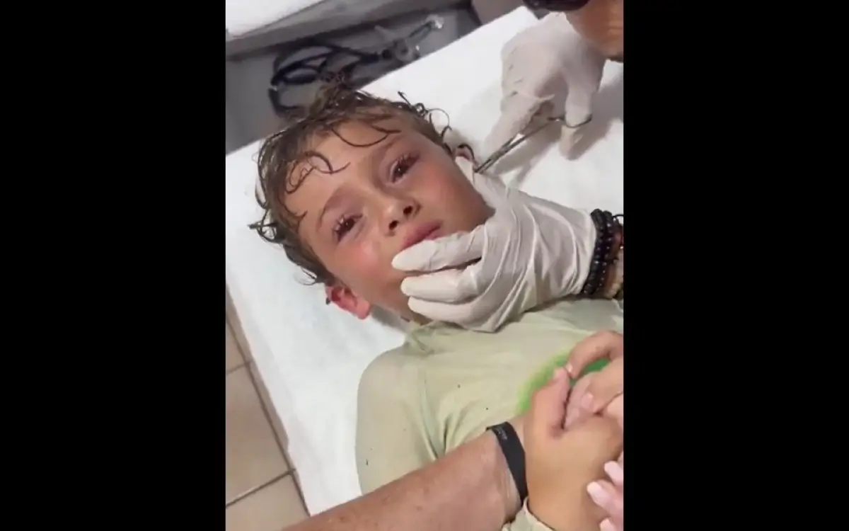 Caranguejo vivo é retirado do ouvido do filho da influenciadora Kitzia Mitre