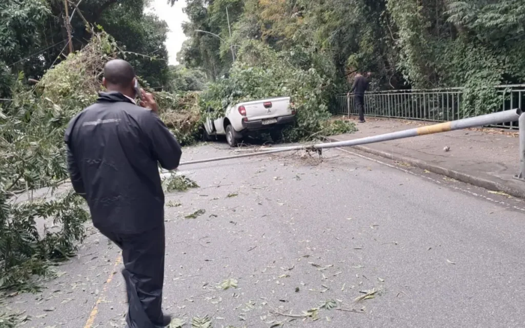 Carro Esmagado por árvore