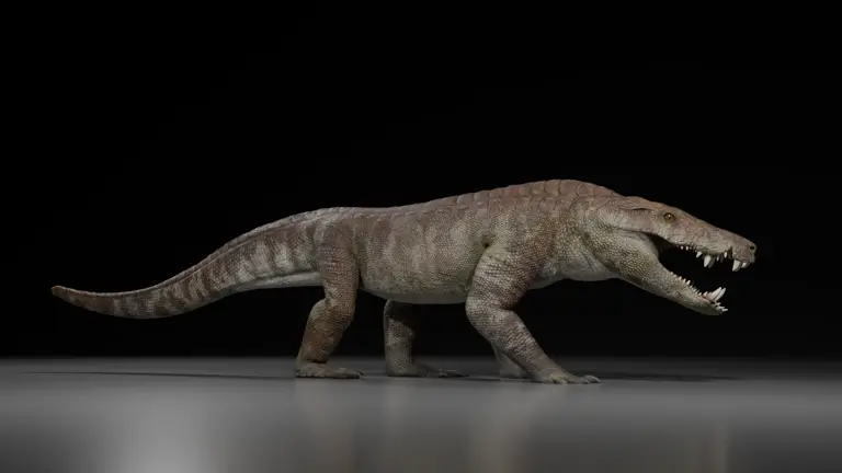 fóssil de matador de dinossauros