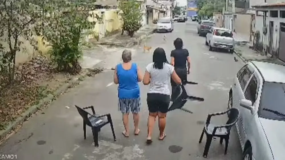 Gato enfrenta pitbull em Nilópolis