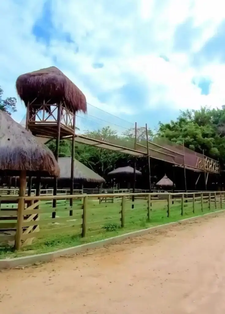 Parque das Aves em Miguel Pereira