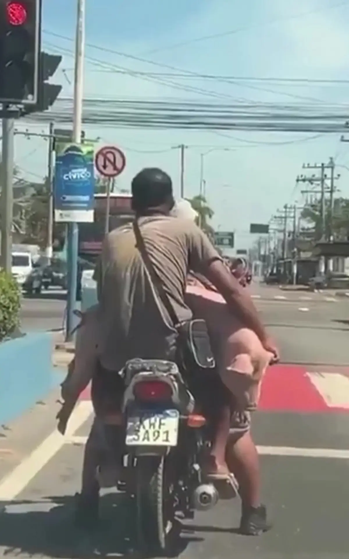 motociclista transporta porco em moto