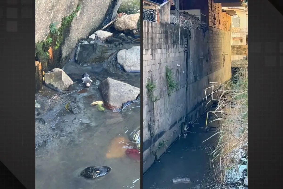 Mulher é flagrada jogando filhotes de gato em rio no Engenho Novo