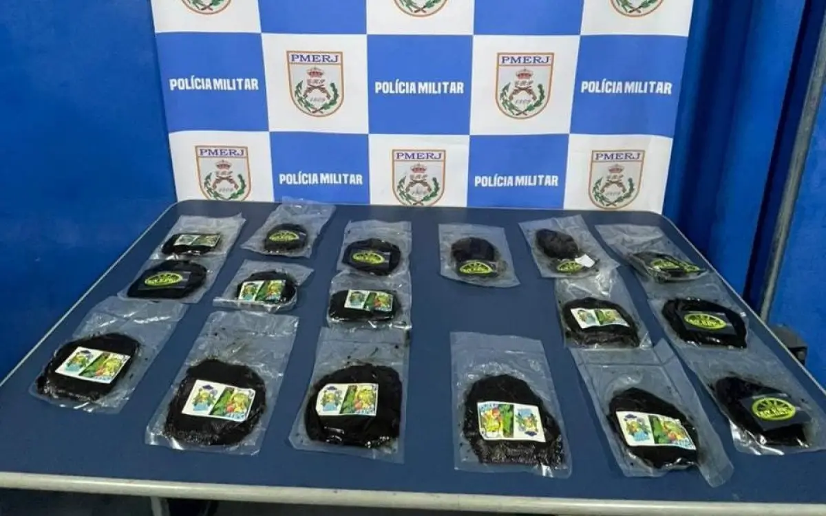 Mulher pretendia viajar para Minas Gerais com 17 pacotes de haxixe