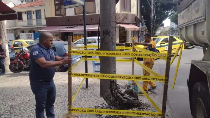 poste em mau estado no Jardim Botânico