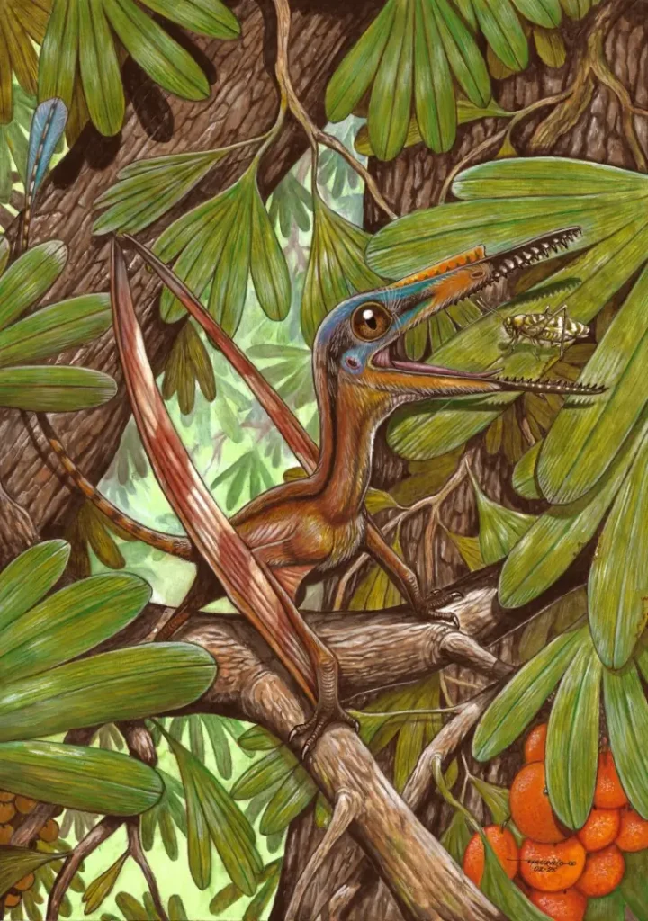 pterossauro raro