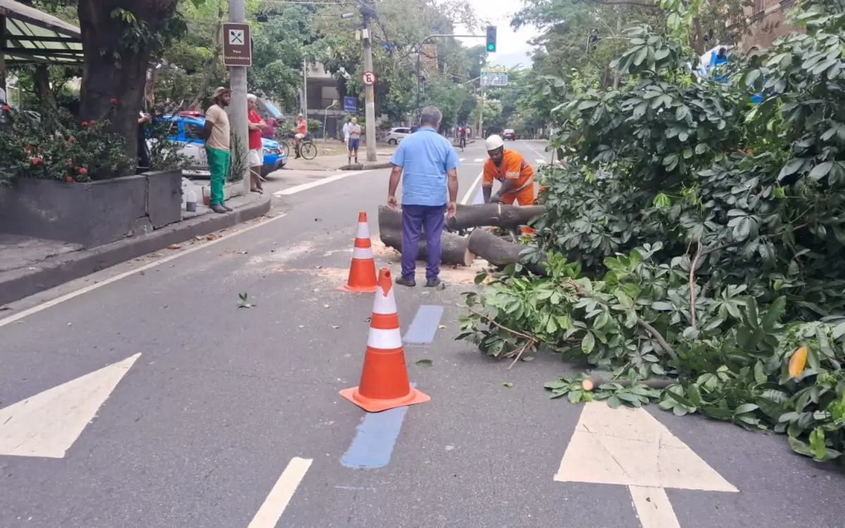 Queda de árvore na rua Doutor Satamini