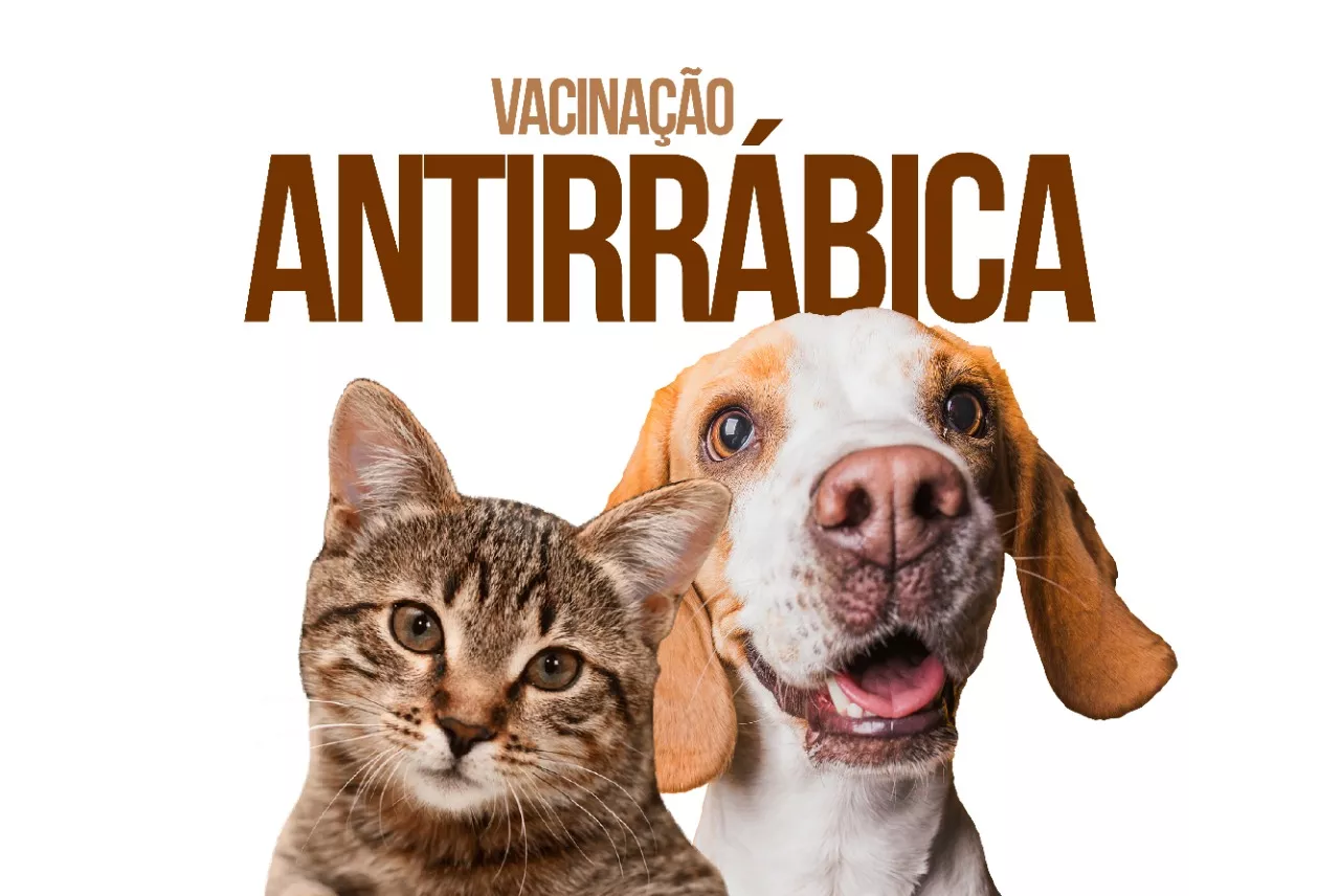 vacinação antirrábica