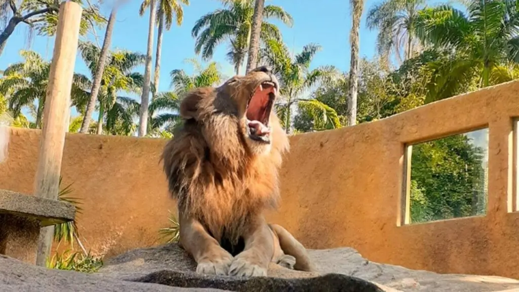 BioParque do Rio
