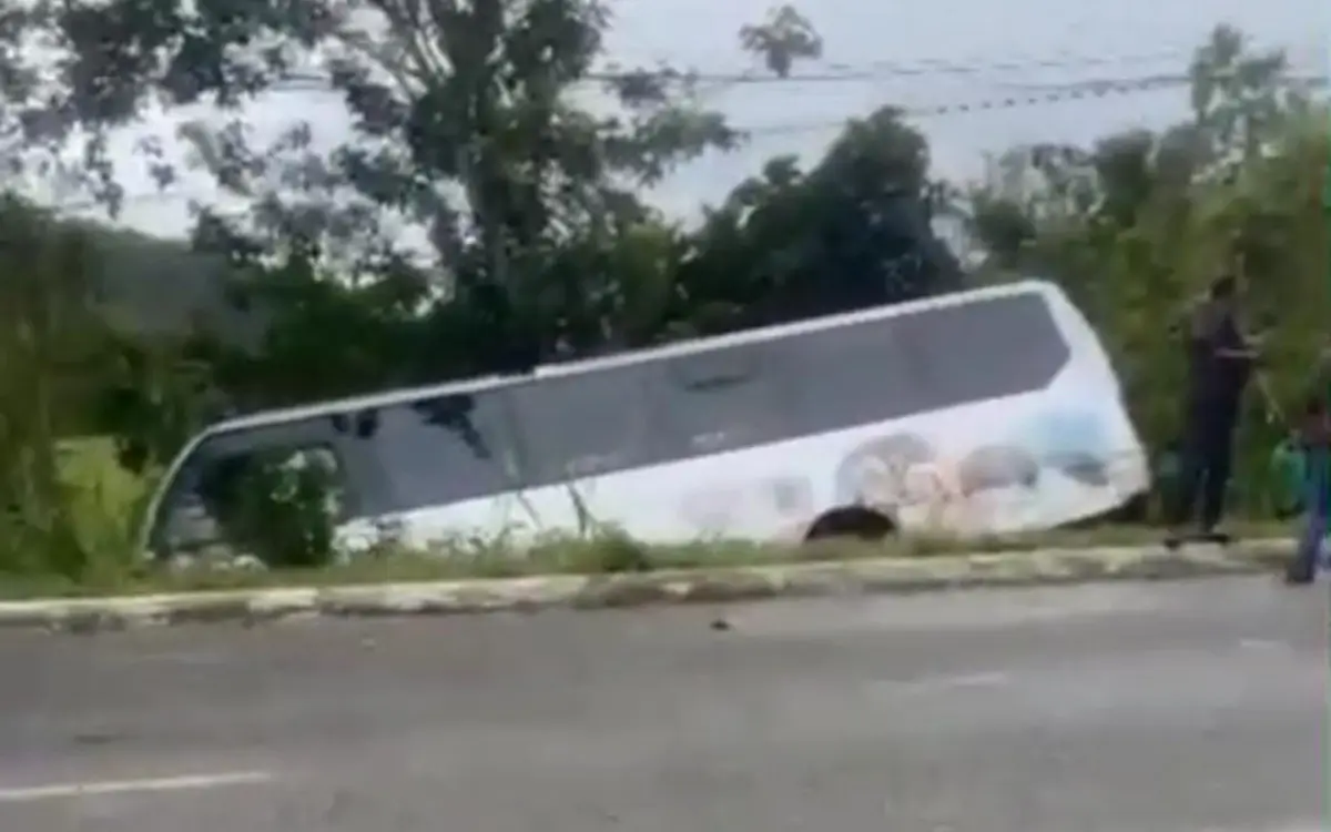 Ônibus caiu fora da pista