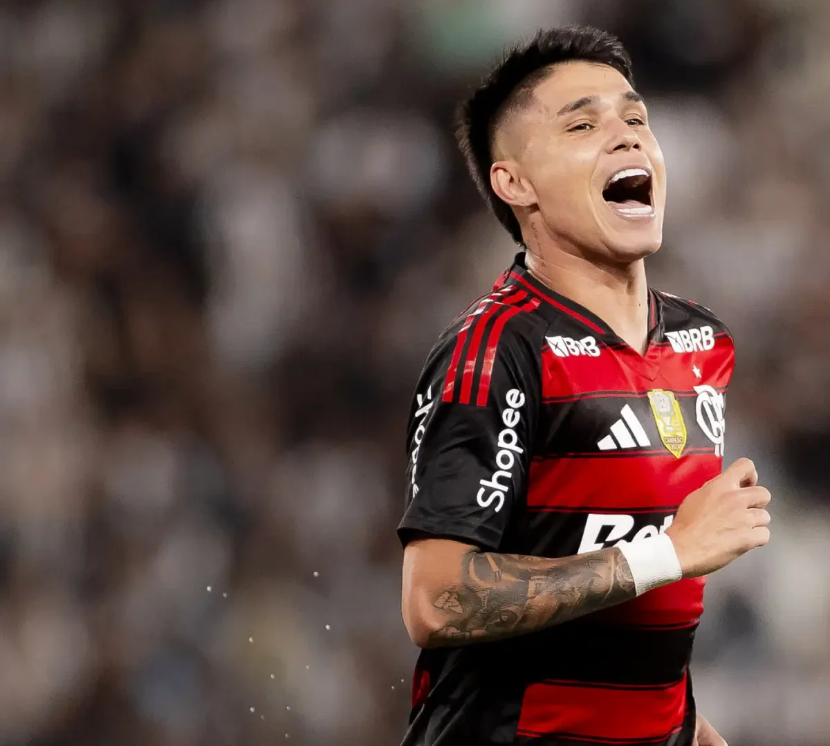 Comemoração de Luiz Araújo