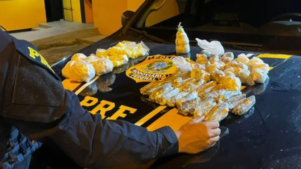 Mulher é presa com drogas e granada em ônibus na BR-101
