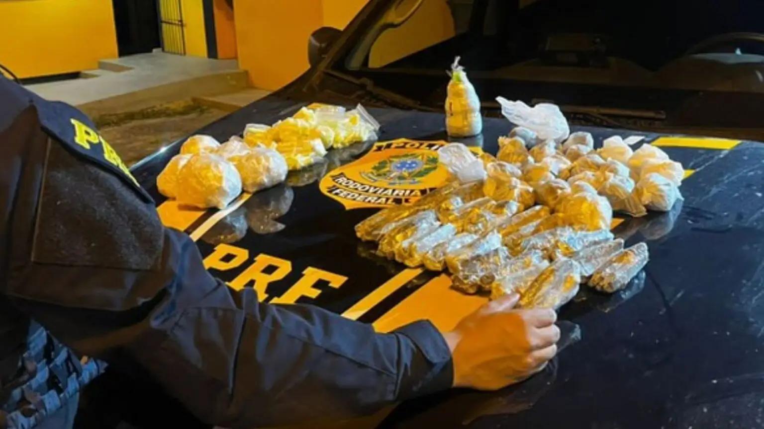 Mulher é presa com drogas e granada em ônibus na BR-101