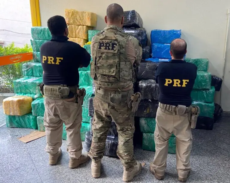 PRF faz grande apreensão de maconha na BR-040