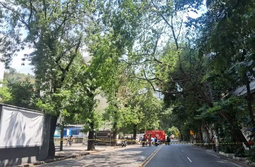 Queda de árvore em Laranjeiras