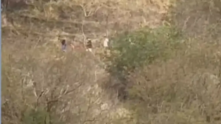 Criminosos treinando com armas em área de mata