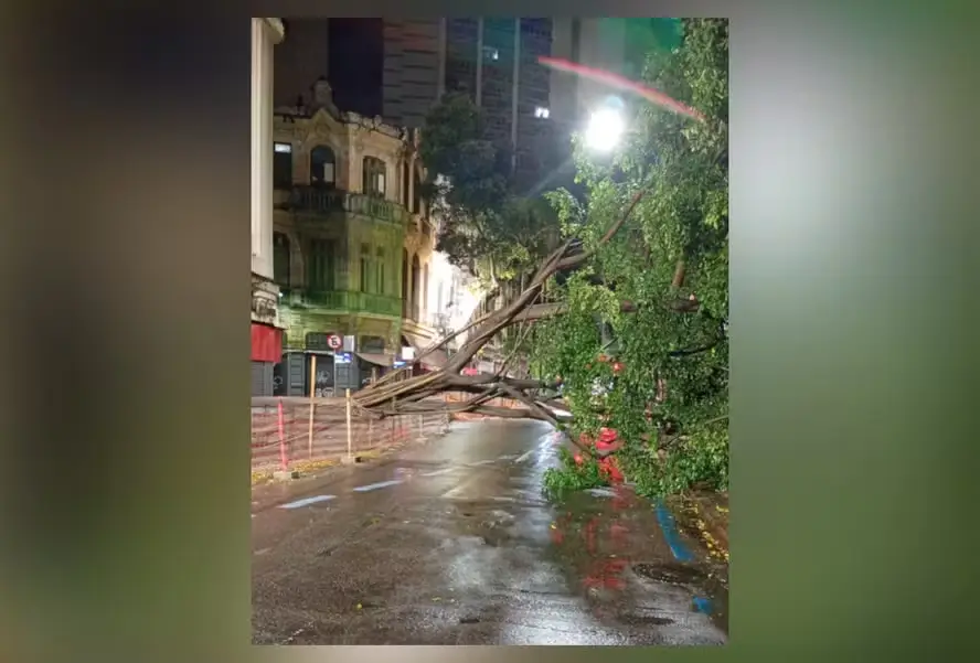 Árvore caída em via no Centro do Rio