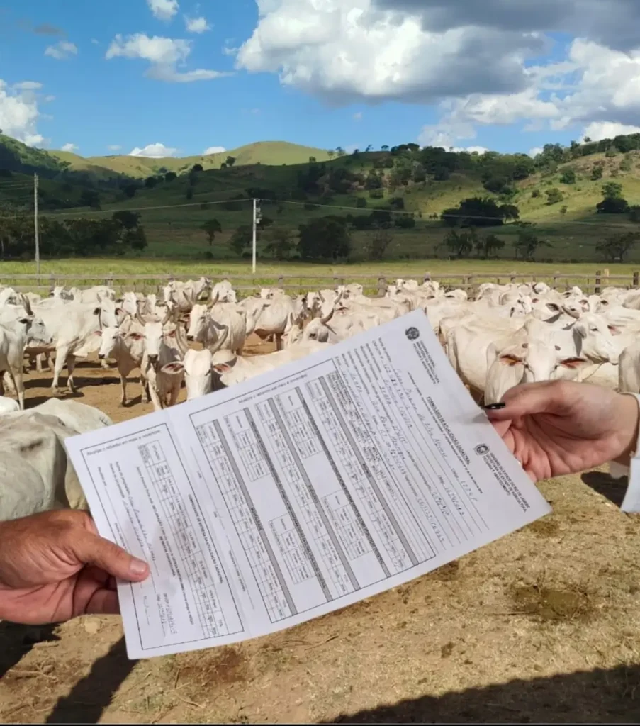 Documento da Parceria Agro