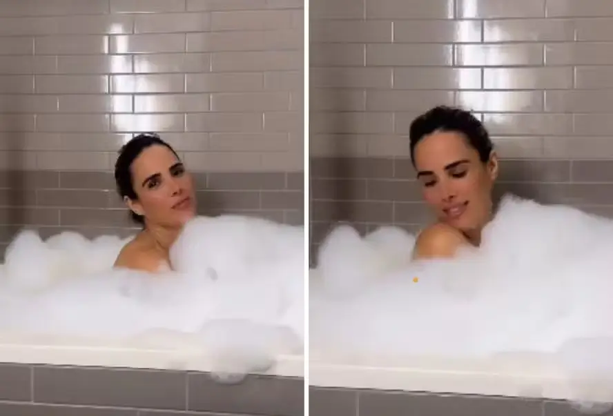 Wanessa Camargo surge sensual