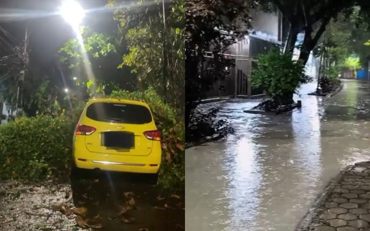 Chuva provoca alagamentos e queda de árvore no estado do Rio