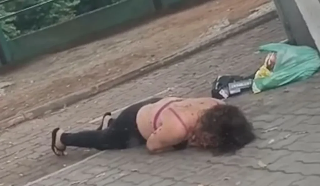 Enxame de abelhas ataca grupo em Três Rios