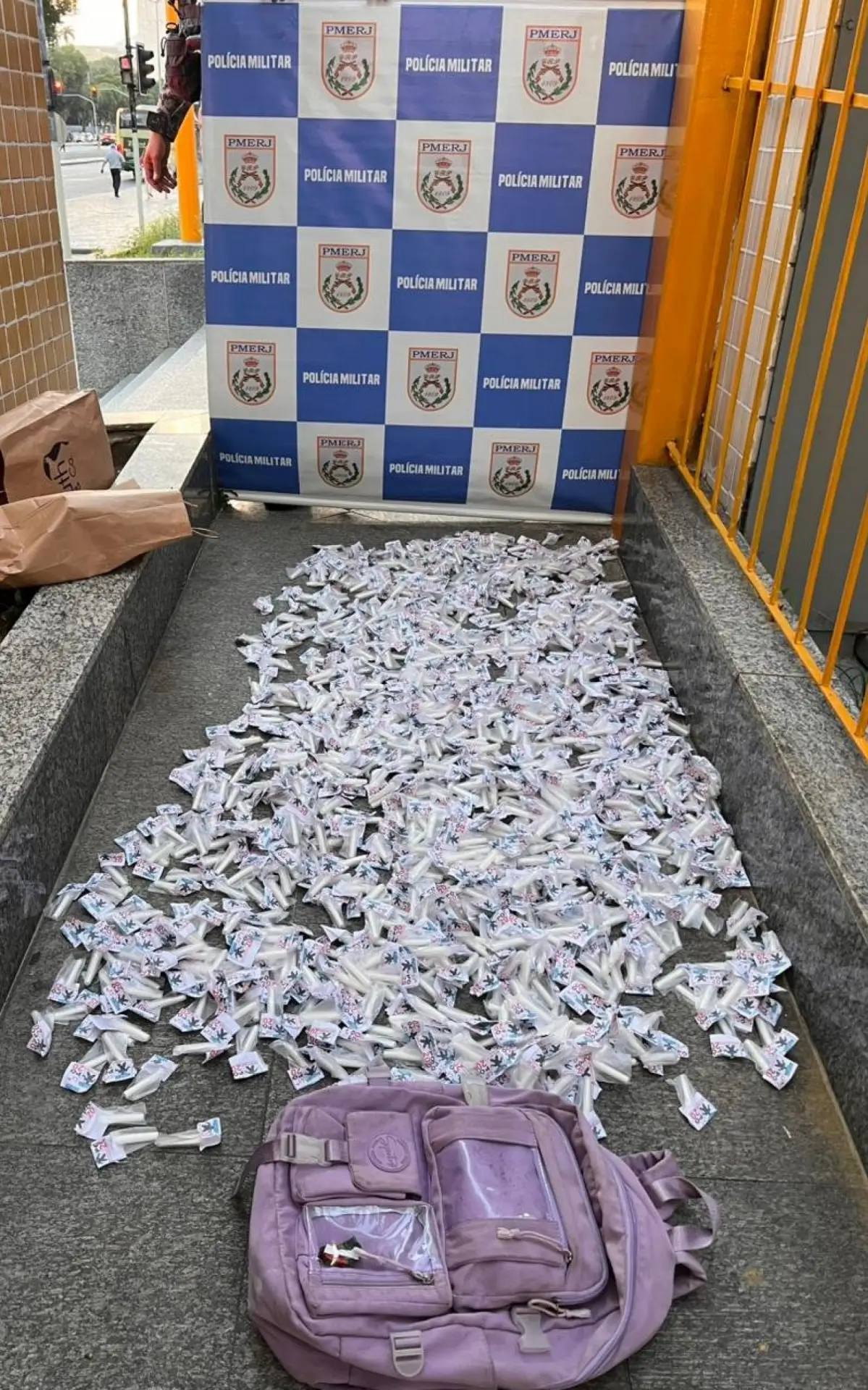 Grande quantidade de entorpecentes foi apreendida pela PM