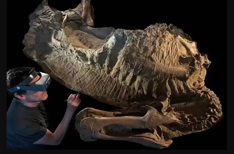 múmias de dinossauros