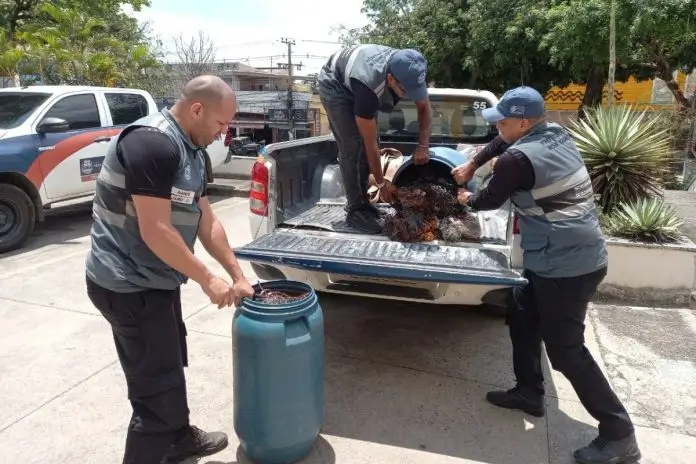 Prefeitura de Nova Iguaçu interdita ferros-velhos em operação contra materiais furtados