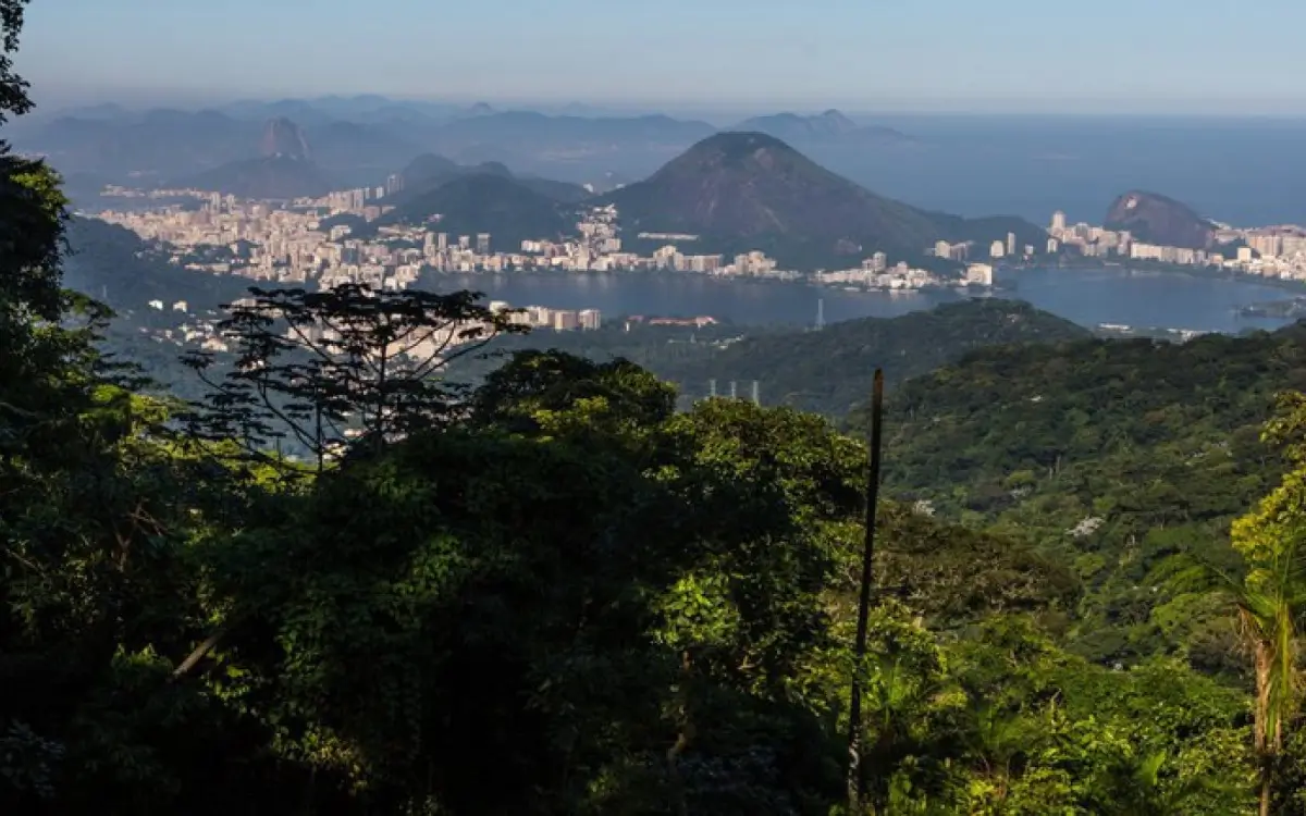Vista do Rio pelo Parque Nacional da Tijuca