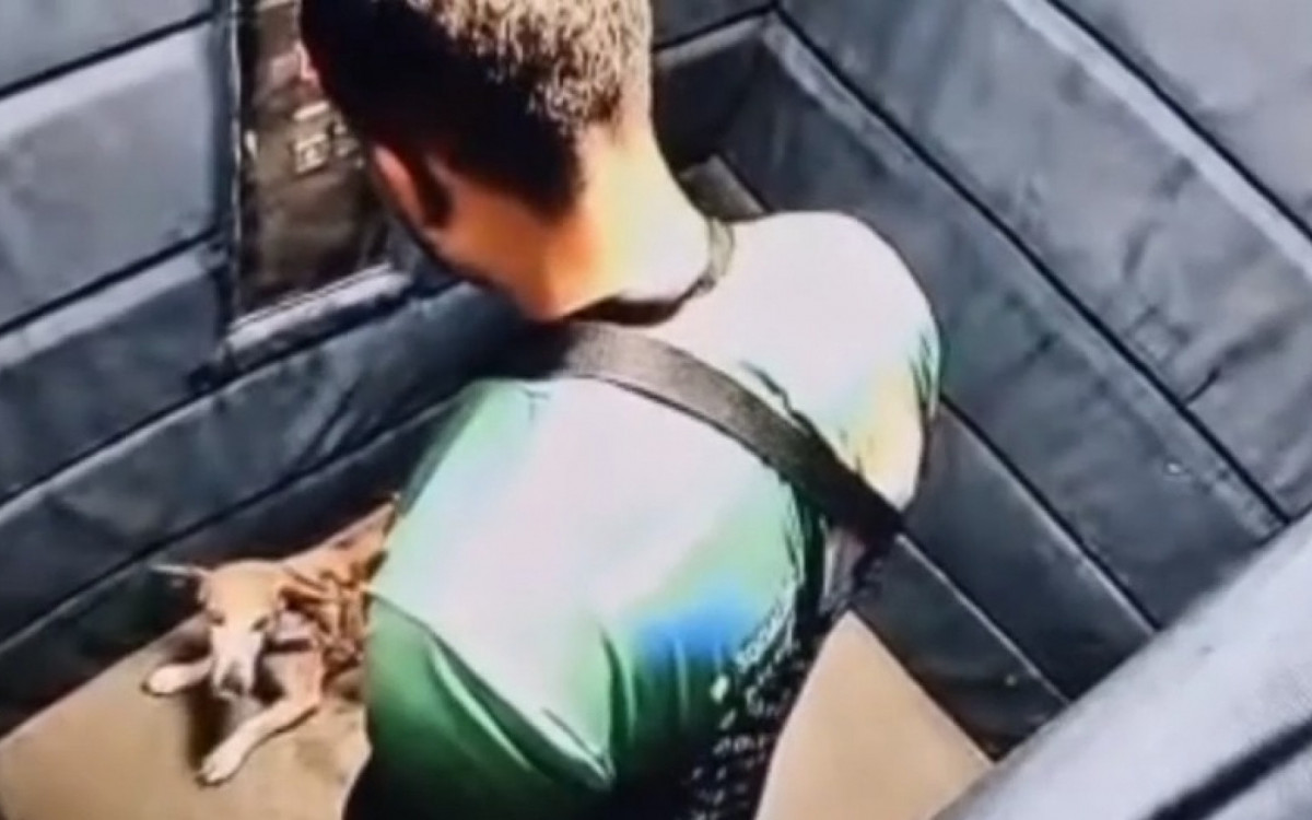 Animal sofreu agressões no elevador do prédio no Leblon