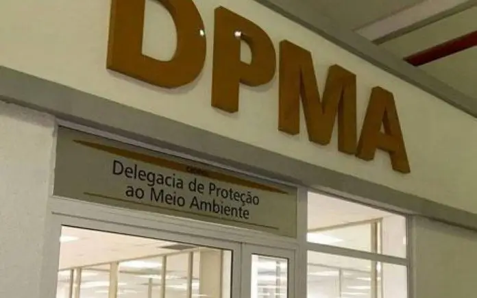 DPMA