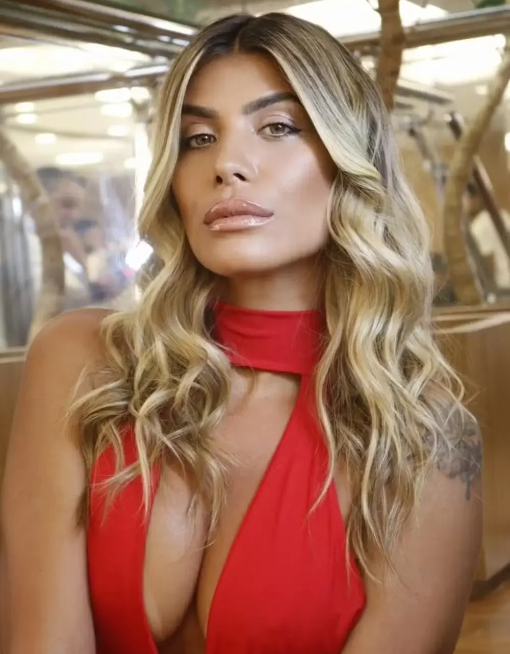 Fran Grossi