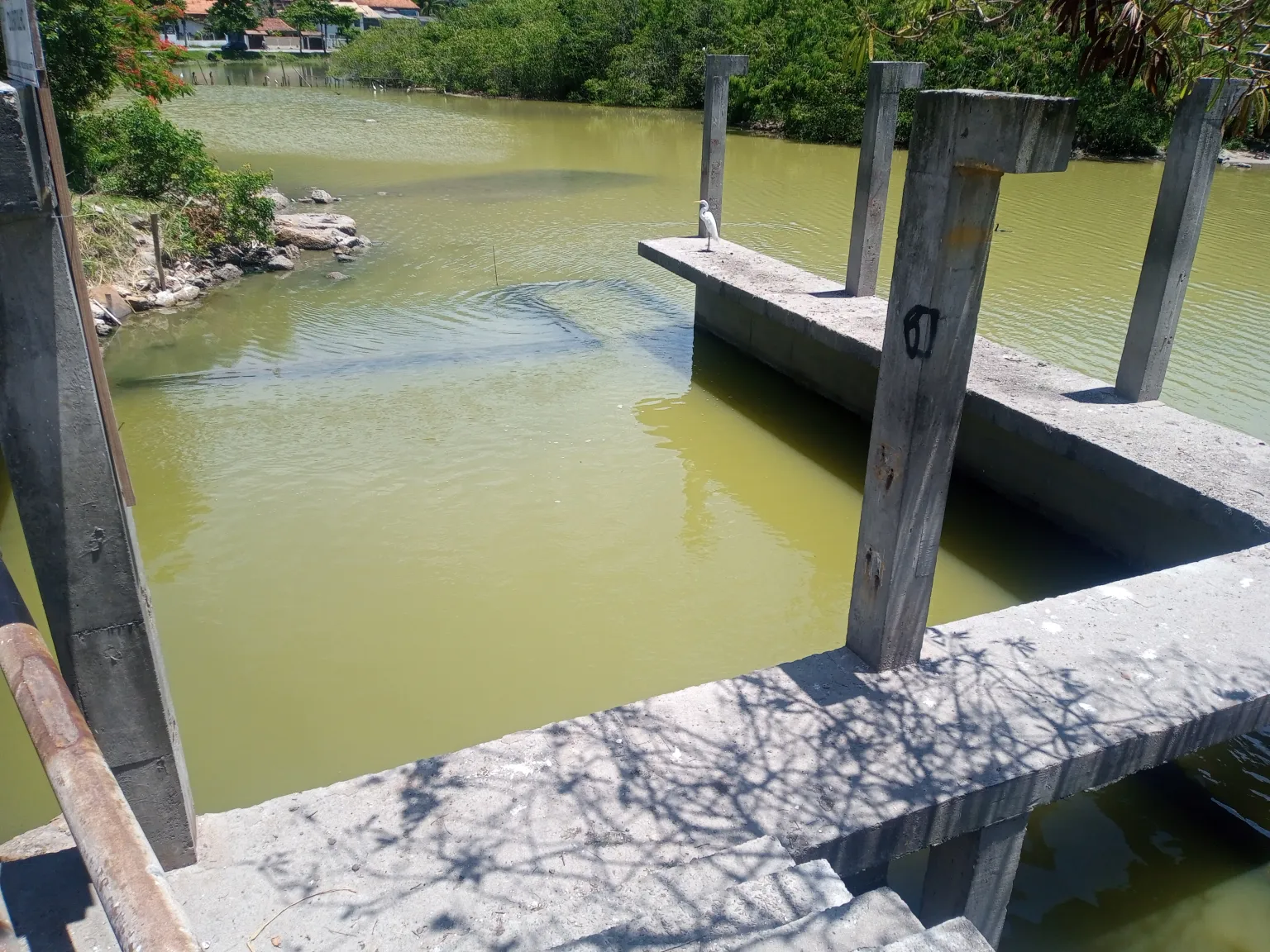 Lagoa de Piratininga