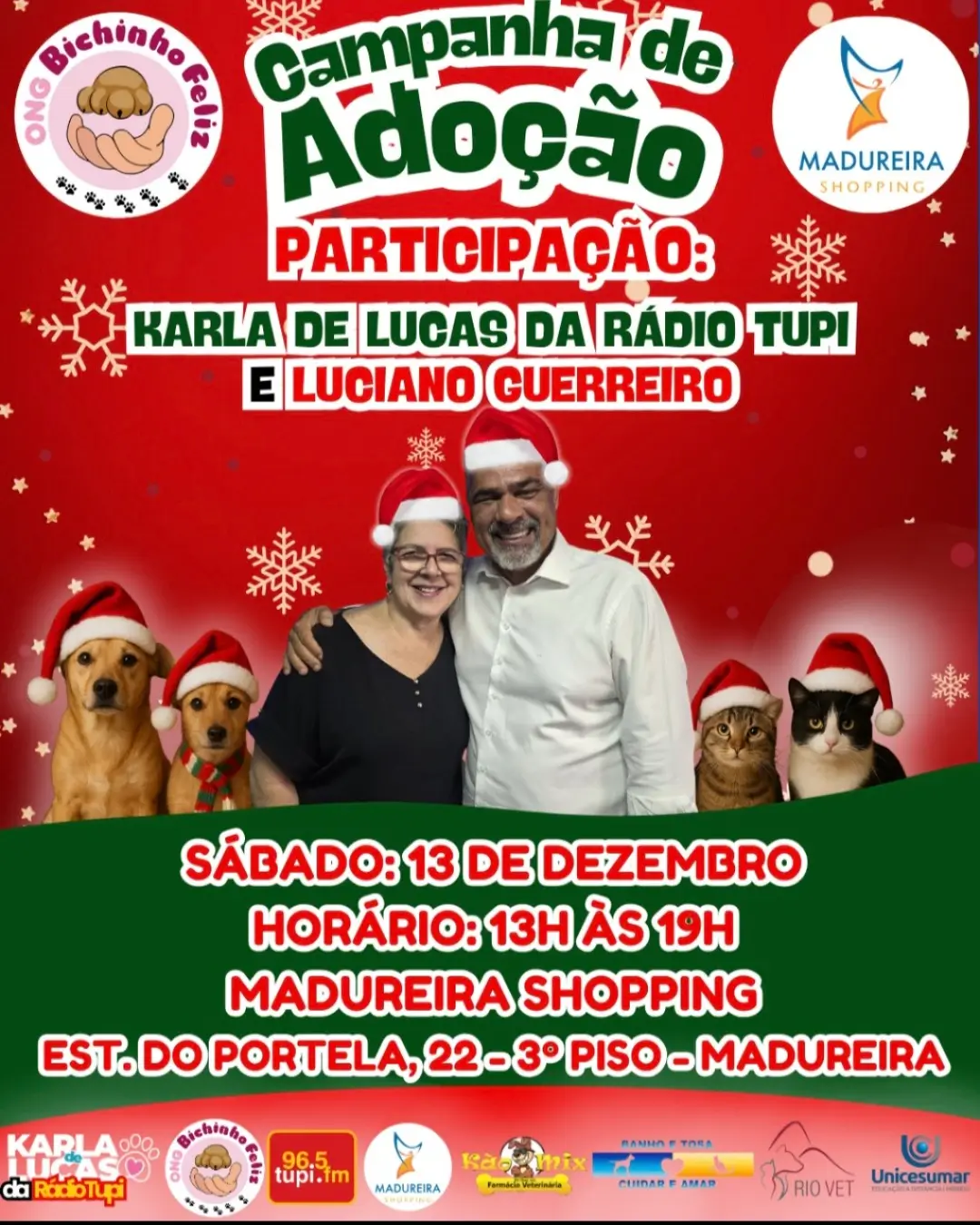 campanha de adoção
