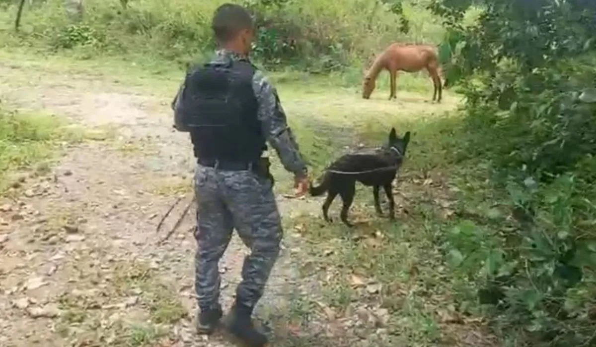 Policiais civis receberam auxílio do Batalhão de Ações com Cães
