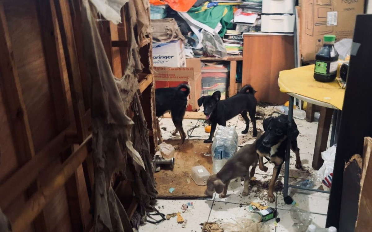 maus-tratos a cães na Zona Oeste