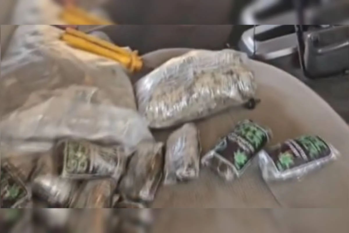 PM é preso com 20 kg de drogas em rodovia