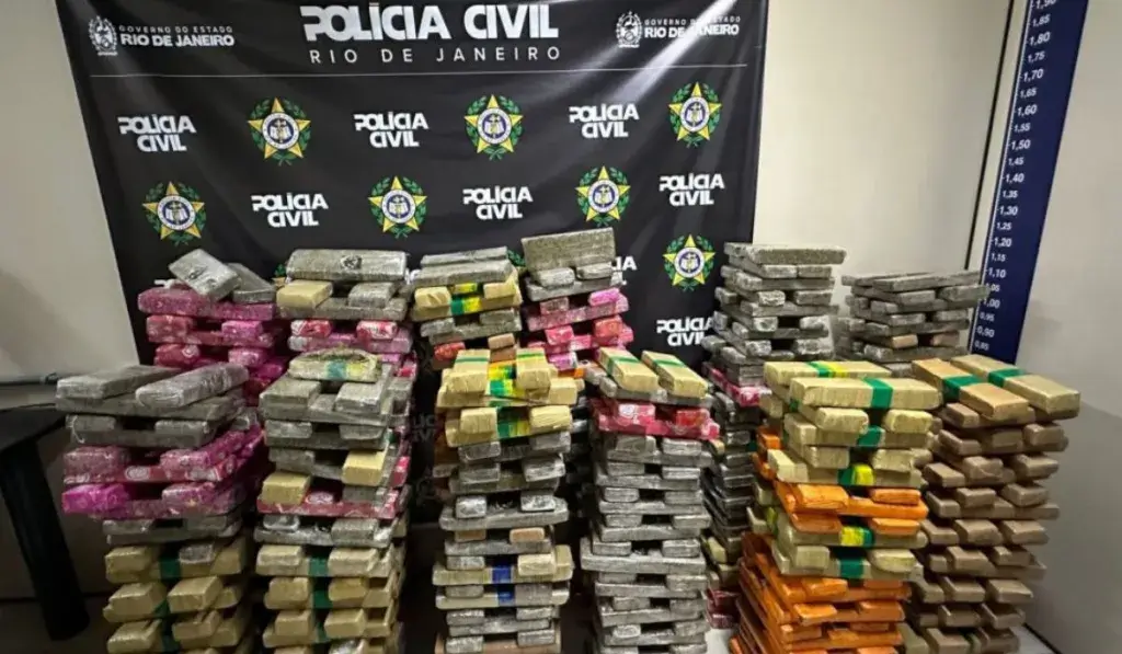 Agentes apreenderam 700 kg de maconha
