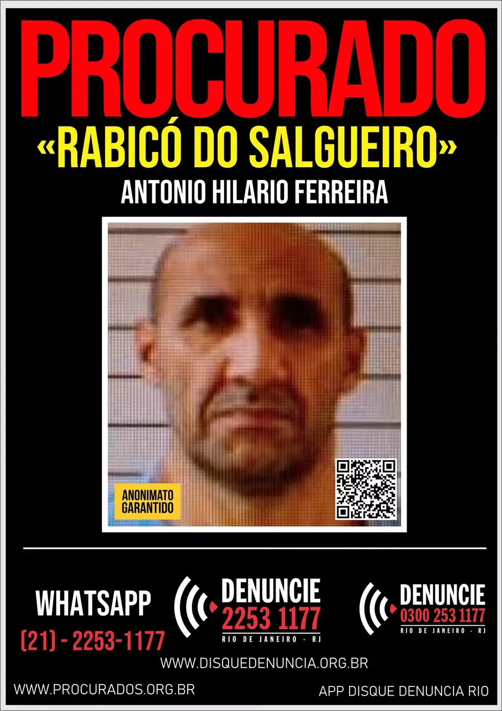 Rabicó do Salgueiro