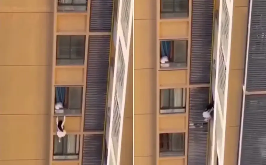 vídeo de amante fugindo pela janela