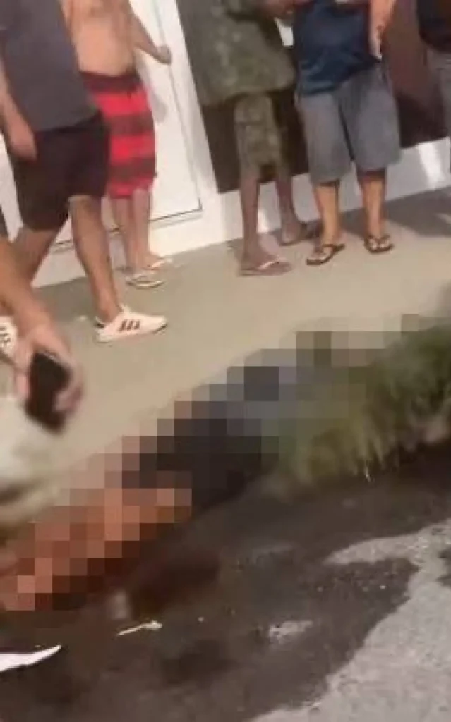 Criminoso foi baleado em tentativa de assalto