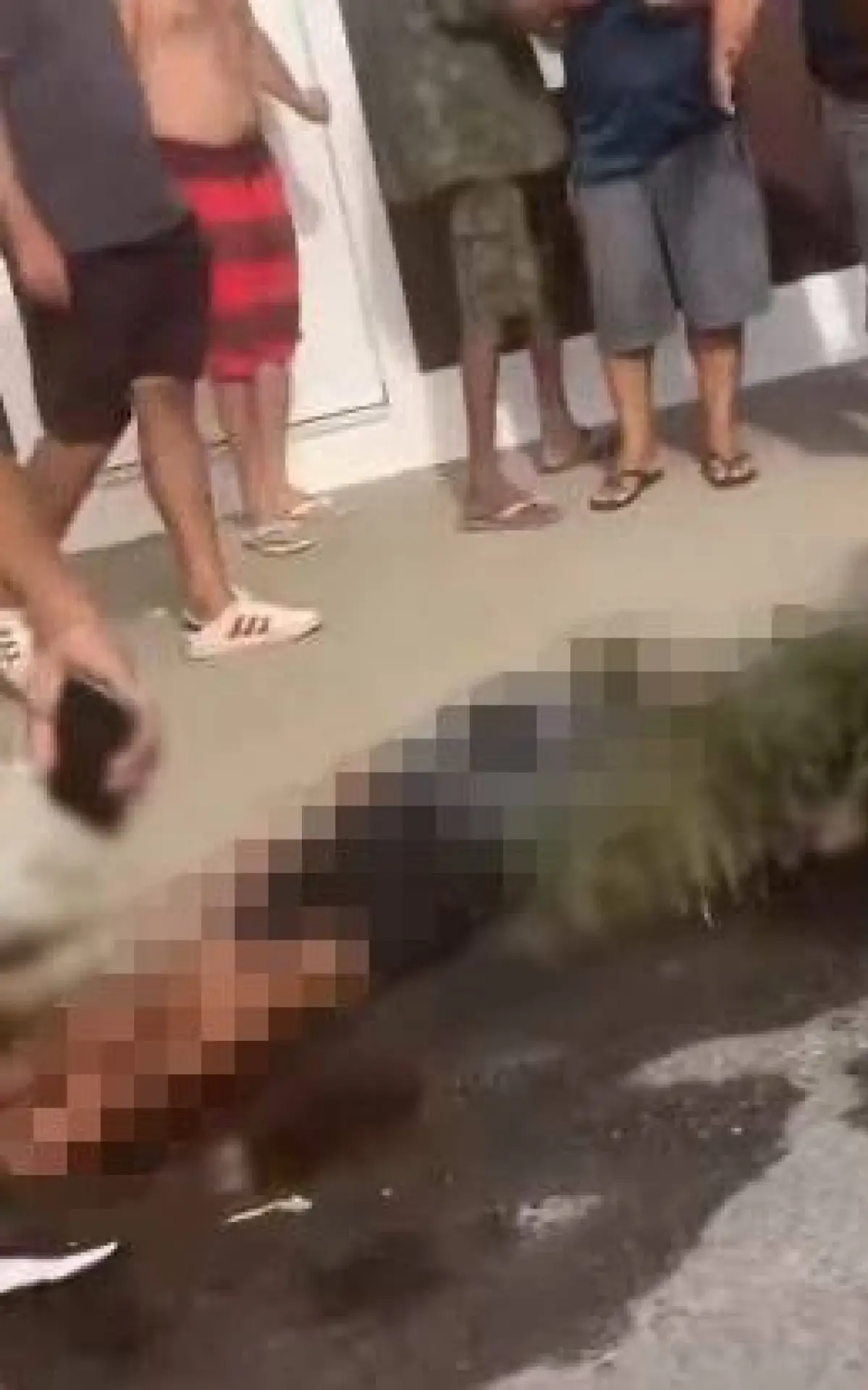Criminoso foi baleado em tentativa de assalto