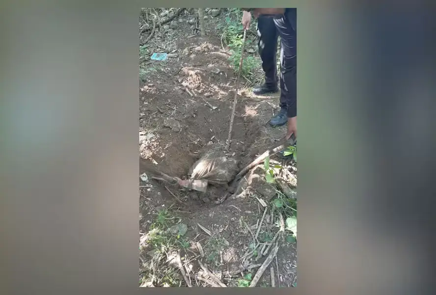 cemitério clandestino