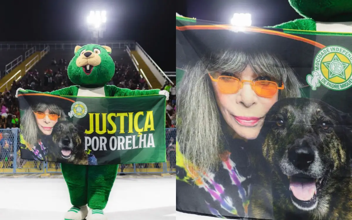 Mocidade leva pedido de justiça por cão Orelha à Marquês de Sapucaí