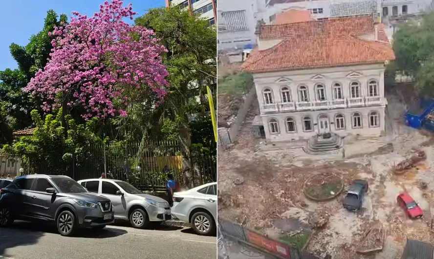 Moradores do Flamengo protestam contra corte de árvores no antigo Bennett