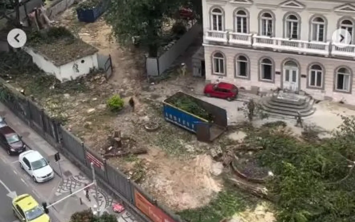 Árvores foram derrubadas na véspera do Ano Novo