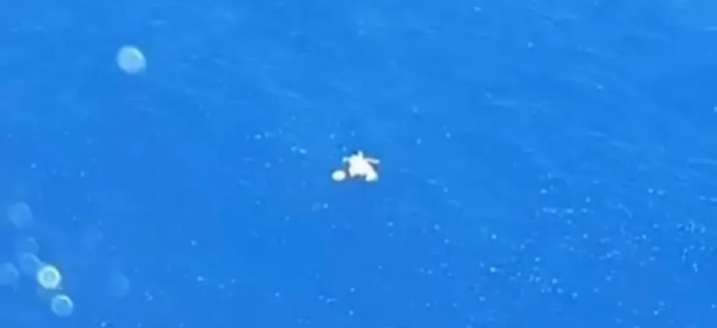 pouso de emergência de helicóptero no mar