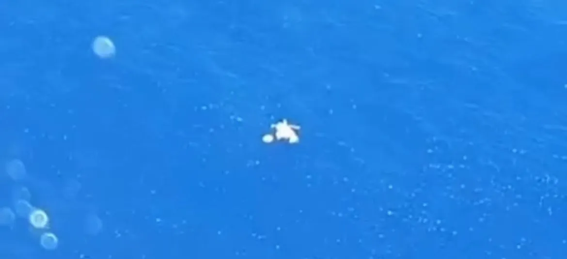 pouso de emergência de helicóptero no mar