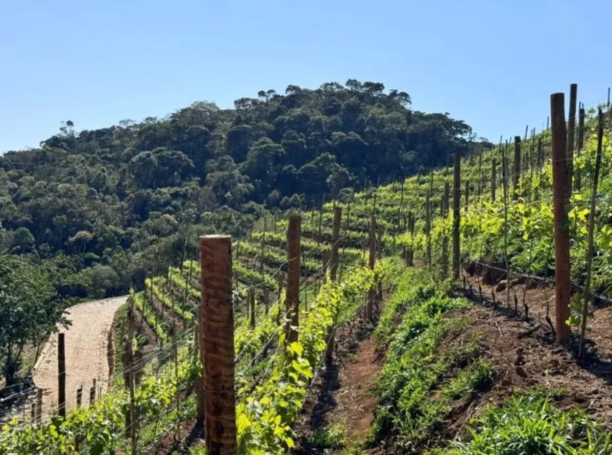 Serra do Rio vira selo oficial